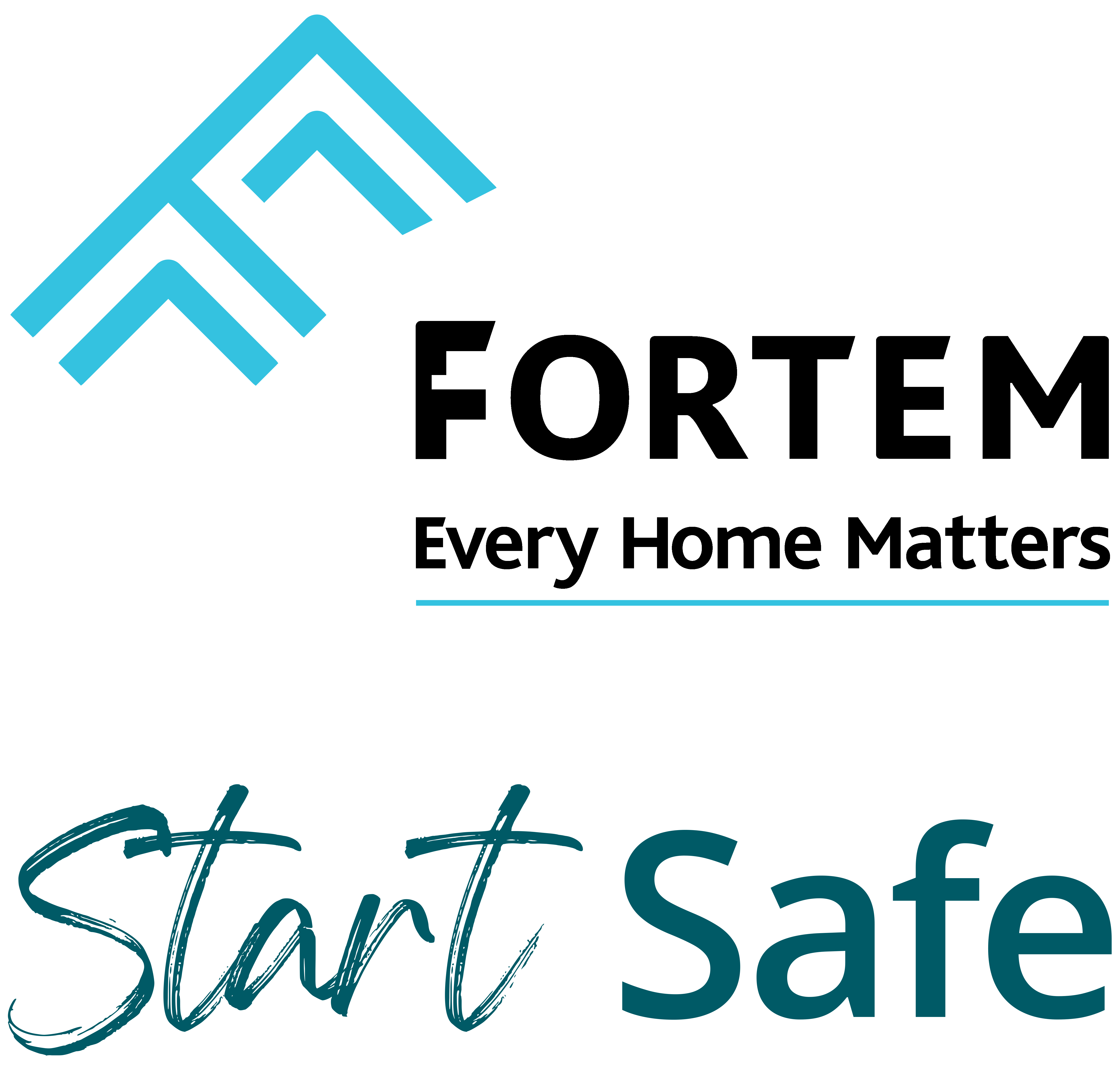 Fortem Online Introduction Logo